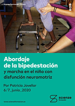 cartel Abordaje de la bipedestación y la marcha en el niño con disfunción neuromotriz